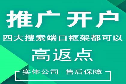 案例解析：sem竞价策略在电商平台的成功应用