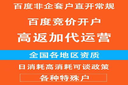 搜索引擎营销（SEM）的广告创意与落地页设计——以某成功创业公司的实践为例
